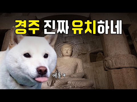 한다면 하는 경주