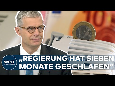 ENERGIEKRISE: „Bekommen zwar eine Gaspreisbremse, aber erst zum Ende der Heizperiode“ - Warnecke