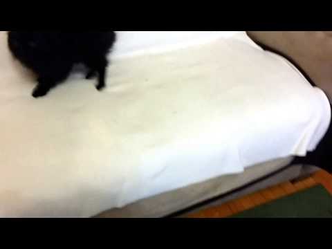 Vernisage Mari Elena