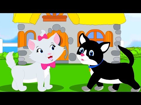Niaou Niaou hey kitty | Greek kids songs | Koperti