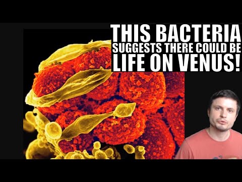 download lagu mp3 mp4 Where Does Bacteria Thrive, download lagu Where Does Bacteria Thrive gratis, unduh video klip Where Does Bacteria Thrive
