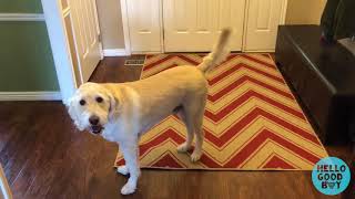 My Favorite Home Hacks 2018 - Hello Good Buy