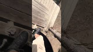 GREAT COUNTRY FARMS TIME!!!!pt:1