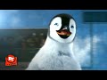 Happy Feet A Zoo Star Is Born