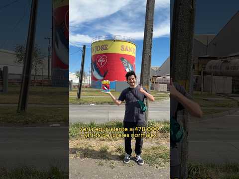 Es cosa de darte una vuelta por Coronel y 🤯!! #coronel #biobio #chile #humor