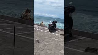 Download lagu Ngintip bule pacaran di Echo Beach Canggu Bali #canggubali #buledibali #motovlogbali mp3