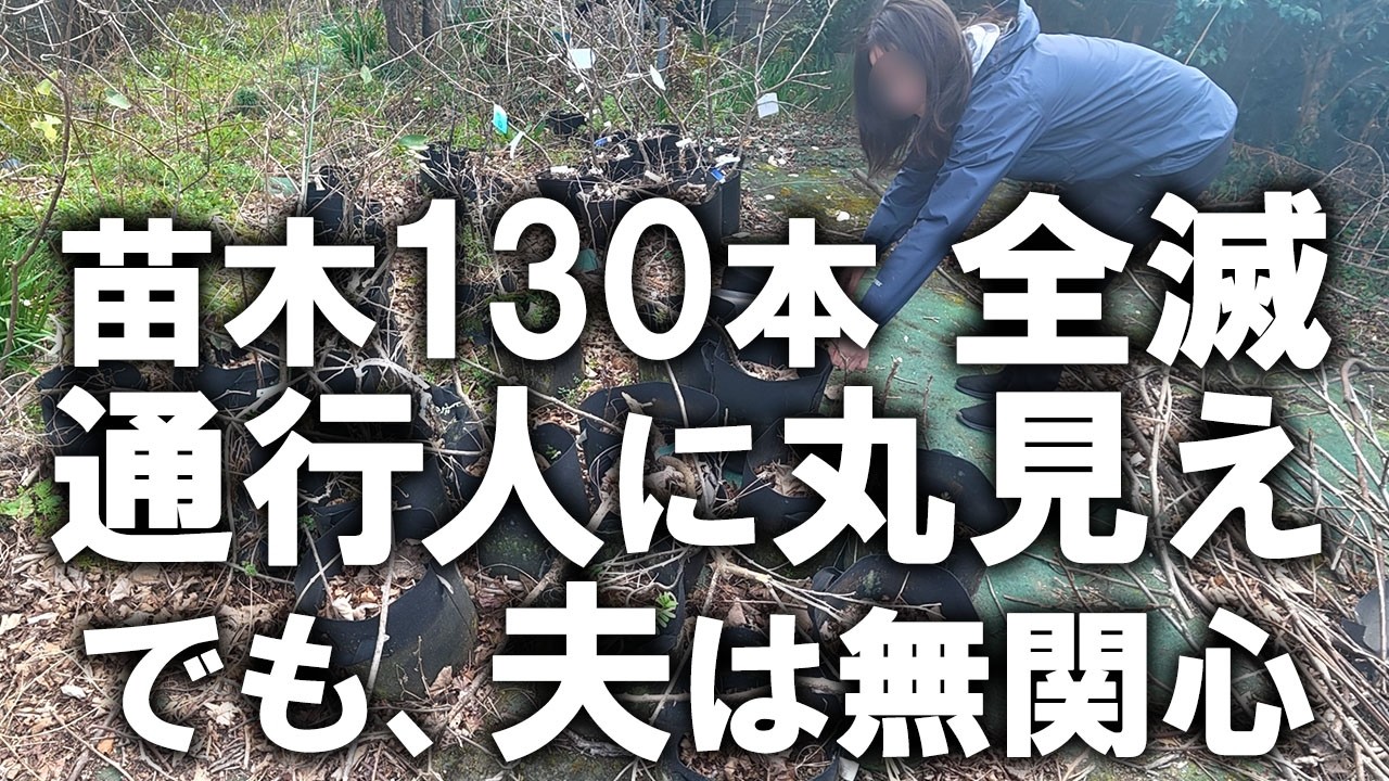 通行人に丸見え…夫が放置して全滅した苗木130本、全部捨てました｜汚部屋｜汚庭｜汚畑｜庭仕事｜夫の私物全捨て④