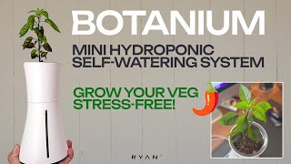 I Tried the BOTANIUM SYSTEM for Growing Lila Luzi Peppers 🌶️  Here's My Honest Review!🌱#homegarden