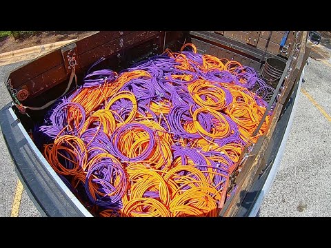 Dumpster Diving "How Y'all Like Them Apples???"