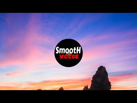 Viva La Panda - Electrifying