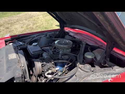 1966 Ford Thunderbird (CC-1670041) for sale in Mount Hope, Ontario