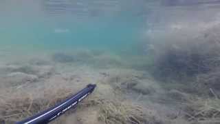preview picture of video 'Побережье г. Избербаш. Рыбалка подводная.'