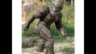 Royce da 5,9 I Hate Your Pants.wmv