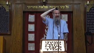 שבת בחסידות סלונים ומשמעותה לבניין בית המקדש
