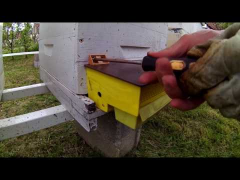 Pollen Trap Installation