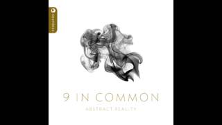 9 In Common - Which One Are You (Seamless Recordings)