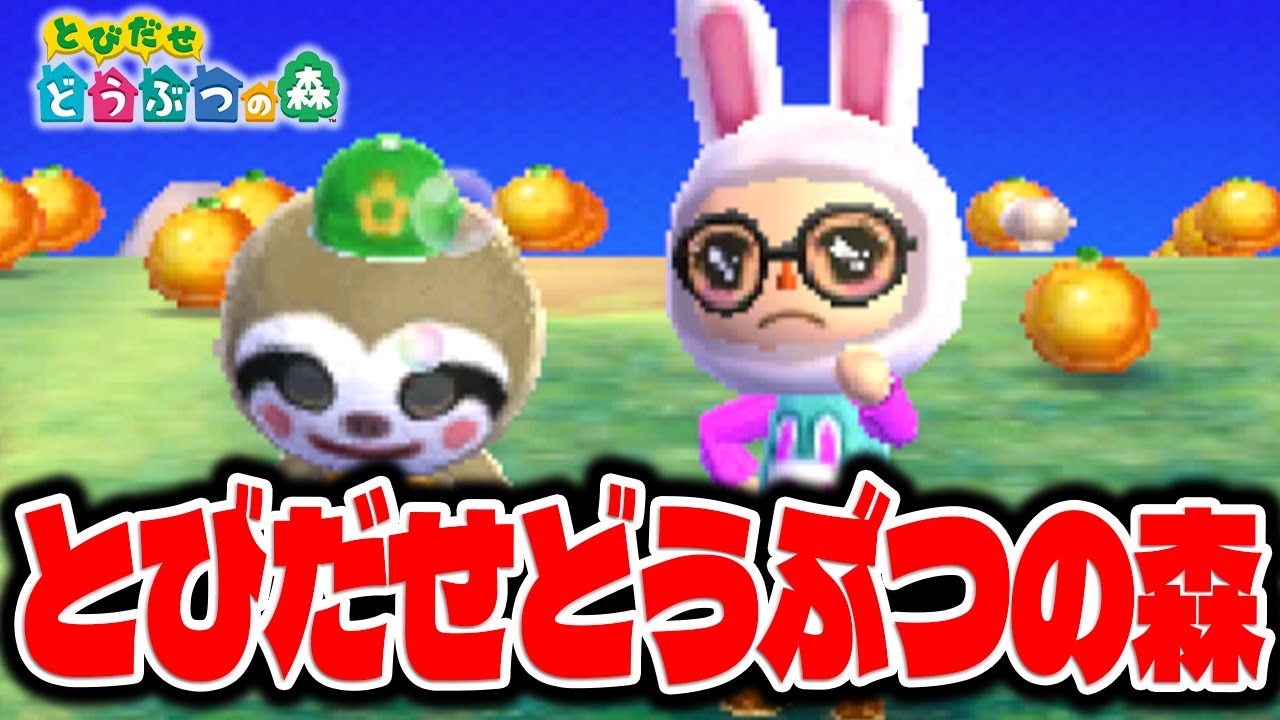 最新作とびだせどうぶつの森【とびだせどうぶつの森】