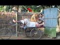 Fake Tiger And Fake Snake Prank on Sleeping Guy! New Funny Jokes Video For Laughing!!