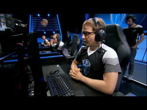 Teamfrenzygg (Testree opluwa Veggie'go)