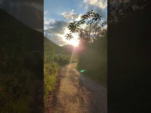 Bananal santa Rita de jacutinga Mg