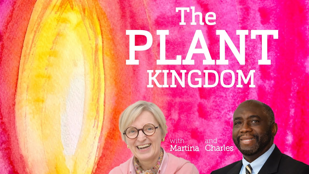 The SANAT KUMARA - AoL35 2025 - Ambassadors of Light - The Plant Kingdom