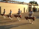 Cadets Tenor Line Finals Night