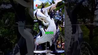 Download lagu Asal Usul Nama Kota Surabaya. mp3 Download lagu Asal Usul Nama Kota Surabaya. mp3