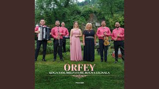 Koga sam, milo lyube, bolna legnala