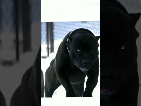 10 de dezembro de 2022