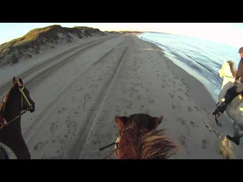 Galoppo in spiaggia!