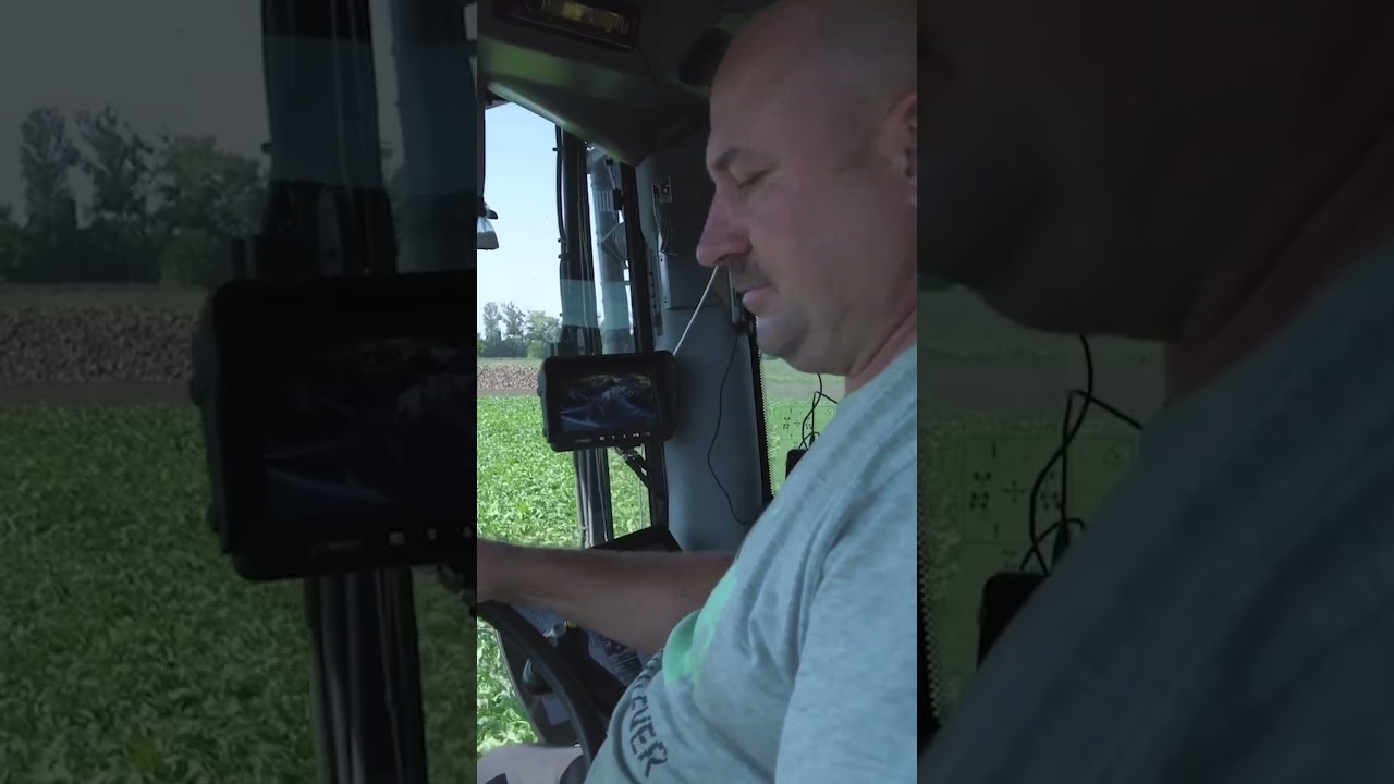 Harvest Without Hesitation #ropa6