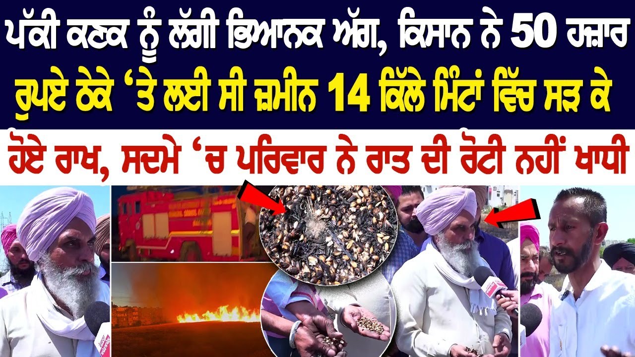 Today Kharar News: ਪੱਕੀ ਕਣਕ ਨੂੰ ਲੱਗੀ ਭਿਆਨਕ ਅੱਗ, ਕਿਸਾਨ ਨੇ 50 ਹਜ਼ਾਰ ਰੁਪਏ ਠੇਕੇ ‘ਤੇ ਲਈ ਸੀ ਜ਼ਮੀਨ Today Kharar News: ਪੱਕੀ ਕਣਕ ਨੂੰ ਲੱਗੀ ਭਿਆਨਕ ਅੱਗ, ਕਿਸਾਨ ਨੇ 50 ਹਜ਼ਾਰ ਰੁਪਏ ਠੇਕੇ ‘ਤੇ ਲਈ ਸੀ ਜ਼ਮੀਨ
