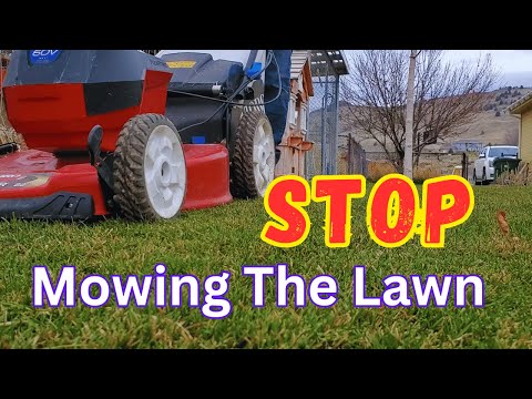 Do You Have To Mow Your Lawn?