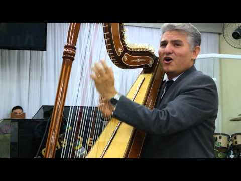 Oliveira Verdadeira Harpista Narcizo