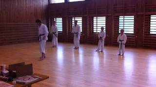 preview picture of video 'Vestby Karate. Gradering 2011. Kihon 5 kyu'