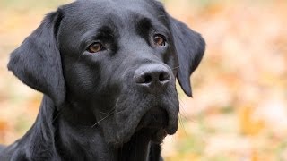 Was bisher geschah...