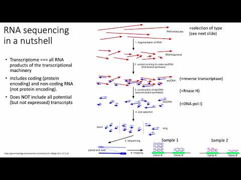 (2022) MCB 182 Lecture 6 - Transcriptomics