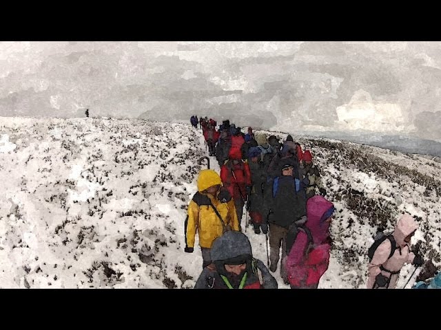 Marcha Nacional 2015