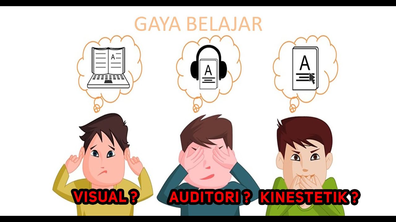 Lihat Apa Itu Auditori Apa Itu Auditori