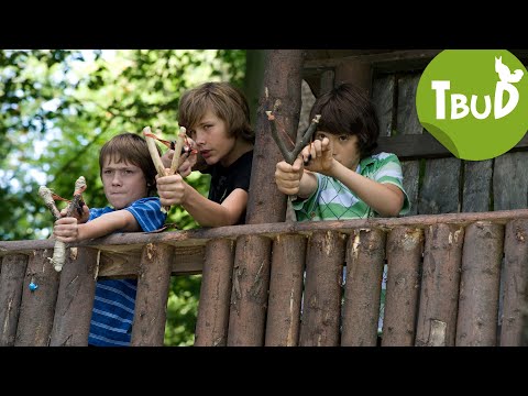 Waldläufer (Folge 9) | Tiere bis unters Dach