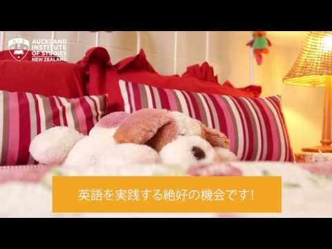 HOMESTAY IN ACUKLAND - FOR JAPANESE