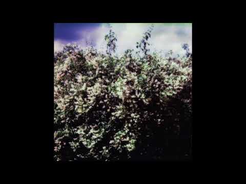 Alina Orlova - Elegantiškai Sninga