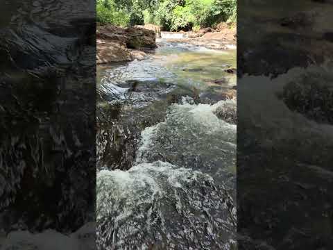 Corredeira Salto Rochedo Jandaia do Sul-PR @REDE.LEGAL.BRASIL 21/01/2026