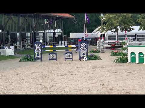 Expert EUCH Young Riders 2019, 150cm