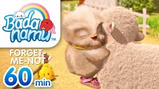 Forget-Me-Not | Badanamu Compilation l Nursery Rhymes & Kids Songs