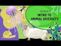 Animal Diversity