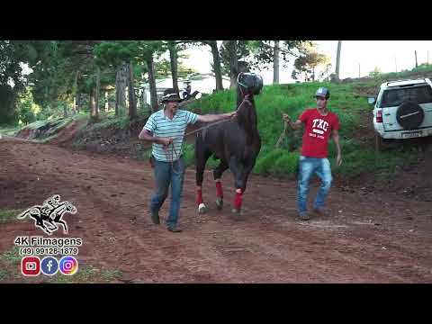 HÍPICA ALFREDO CONCEIÇÃO - SANTA MARIA DO OESTE - APRESENTAÇÃO DESAFIO - 350m - 19.12.25