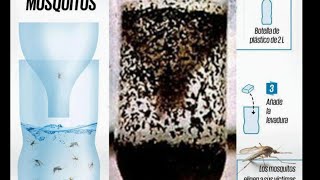 how to make a home made mosquito trap