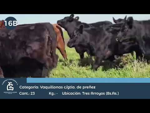 Lote VQ CGP - Tres Arroyos Bs As