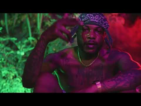 Wildlife Pettodene, VSR - Madagascar (Official Visualiser)